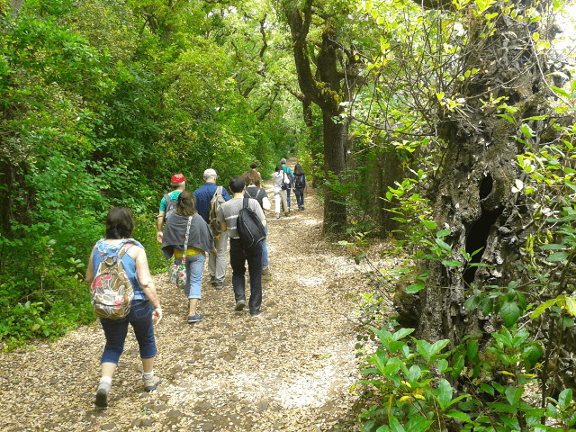 Quinta Nova da Rainha e Matinha de Queluz